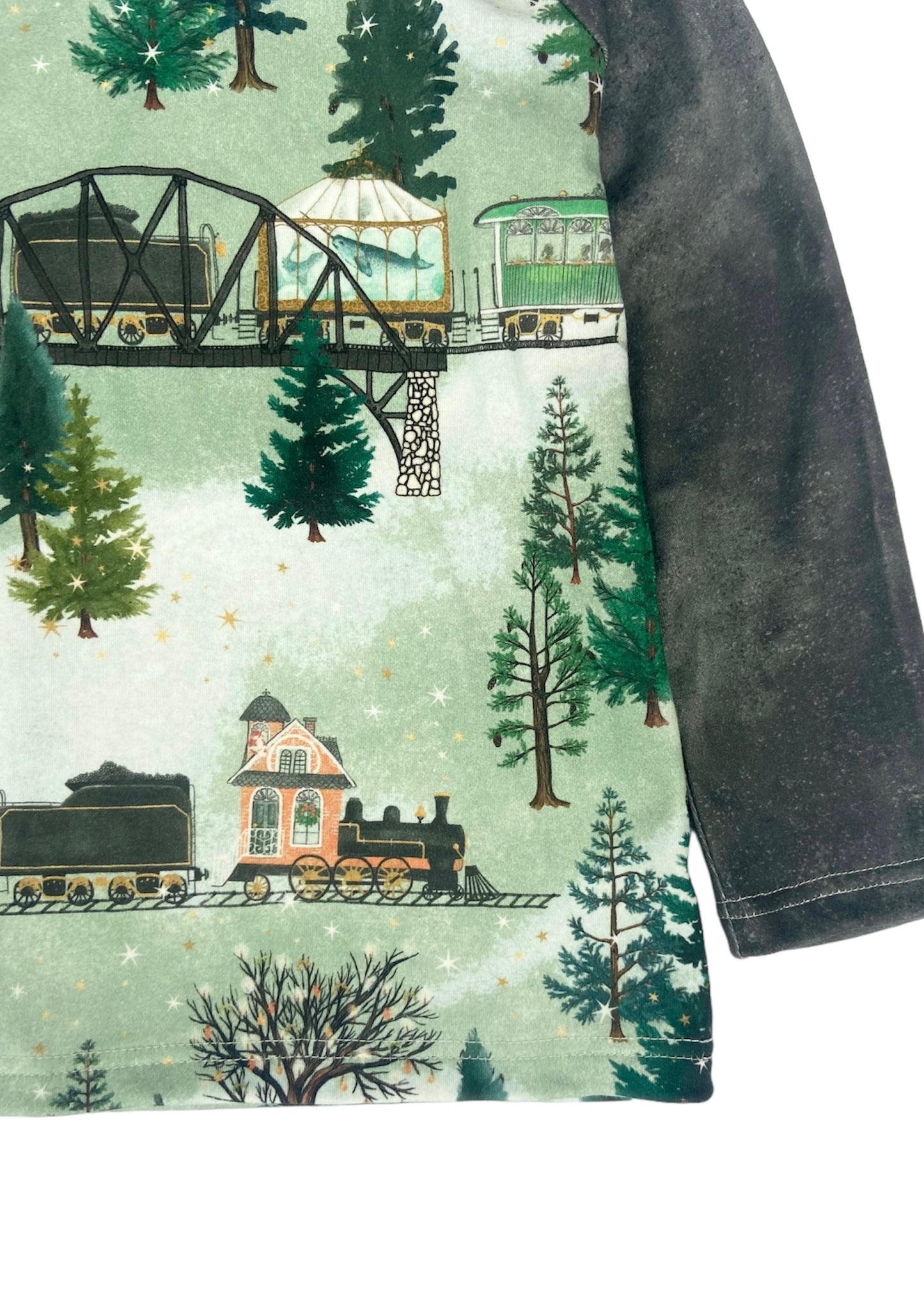 Wintery Railroad Tee in Organic Cotton